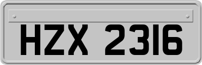 HZX2316