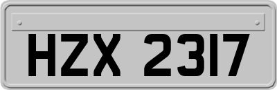 HZX2317