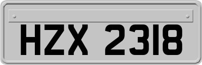 HZX2318