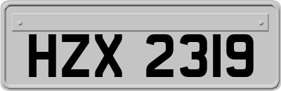 HZX2319