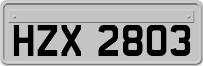 HZX2803