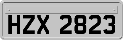 HZX2823