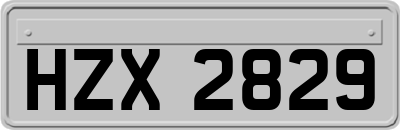 HZX2829