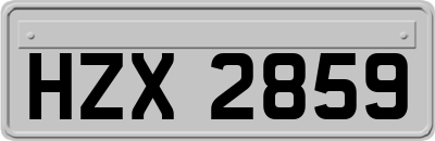 HZX2859