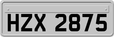 HZX2875