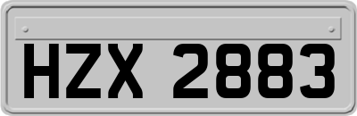 HZX2883