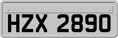 HZX2890