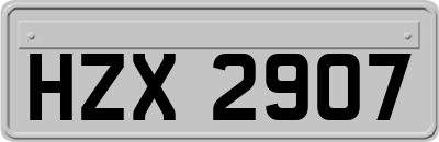 HZX2907