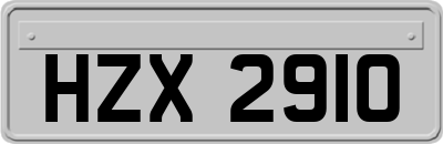 HZX2910