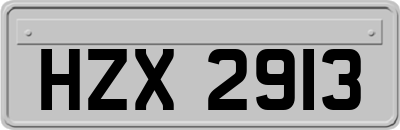 HZX2913