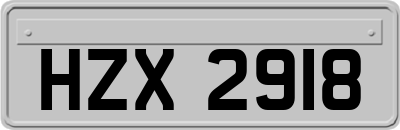 HZX2918