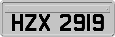 HZX2919