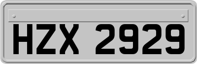 HZX2929