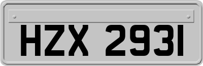 HZX2931