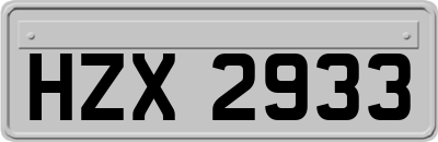 HZX2933