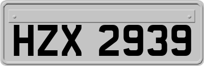 HZX2939