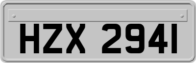 HZX2941
