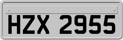 HZX2955