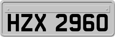 HZX2960