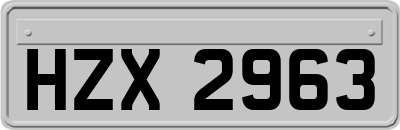 HZX2963