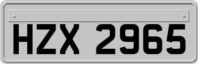 HZX2965