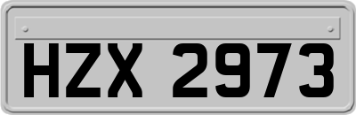 HZX2973