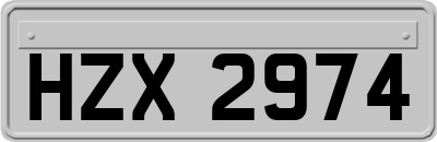 HZX2974