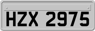 HZX2975