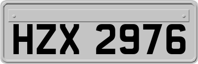 HZX2976