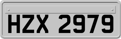 HZX2979