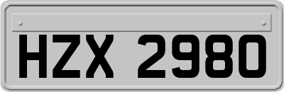 HZX2980