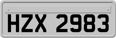 HZX2983