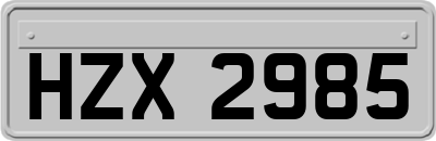 HZX2985