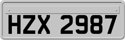 HZX2987