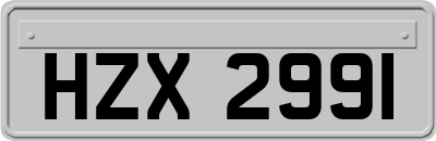 HZX2991