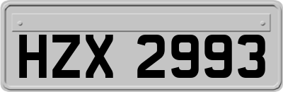 HZX2993