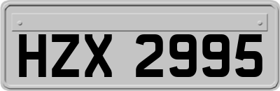 HZX2995