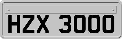 HZX3000
