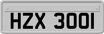 HZX3001