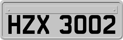 HZX3002