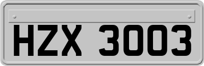 HZX3003