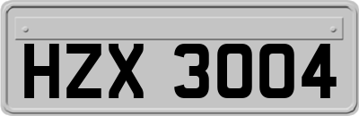 HZX3004