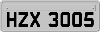 HZX3005