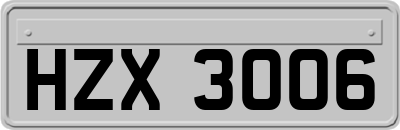 HZX3006