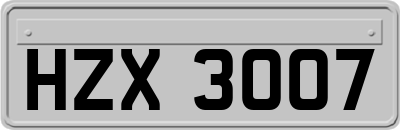 HZX3007