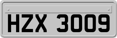 HZX3009