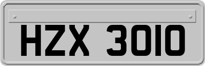 HZX3010