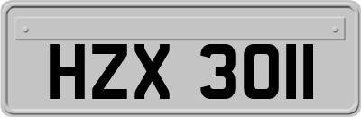 HZX3011