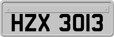 HZX3013