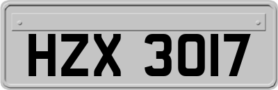 HZX3017